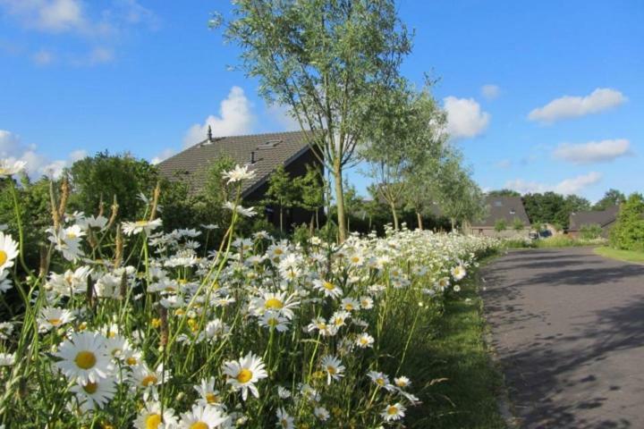 Bergen Holiday Home Schoorl Dış mekan fotoğraf